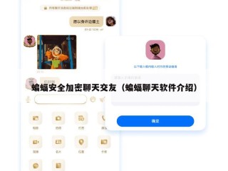 蝙蝠安全加密聊天交友（蝙蝠聊天软件介绍）