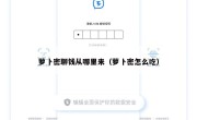萝卜密聊钱从哪里来（萝卜密怎么吃）