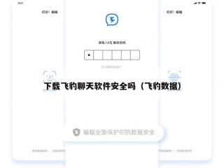 下载飞豹聊天软件安全吗（飞豹数据）