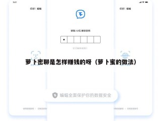 萝卜密聊是怎样赚钱的呀（萝卜蜜的做法）
