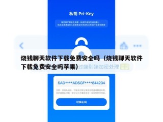 烧钱聊天软件下载免费安全吗（烧钱聊天软件下载免费安全吗苹果）