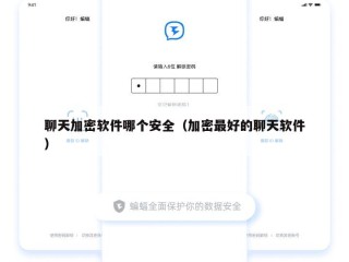 聊天加密软件哪个安全（加密最好的聊天软件）