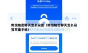 微信加密聊天怎么设置（微信加密聊天怎么设置苹果手机）