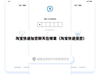 淘宝快递加密聊天在哪里（淘宝快递保密）