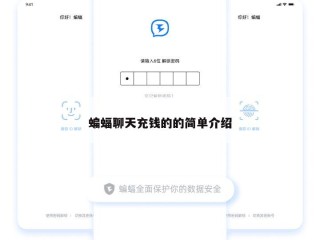 蝙蝠聊天充钱的的简单介绍
