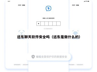远东聊天软件安全吗（远东是做什么的）