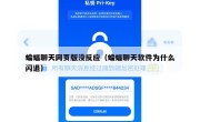 蝙蝠聊天网页版没反应（蝙蝠聊天软件为什么闪退）