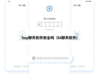 hay聊天软件安全吗（hi聊天软件）
