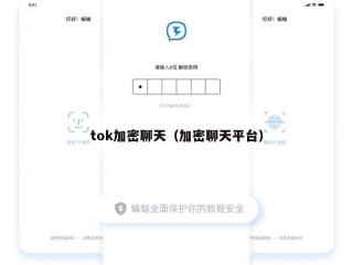 tok加密聊天（加密聊天平台）