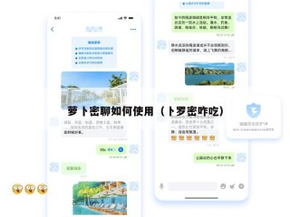 萝卜密聊如何使用（卜罗密咋吃）
