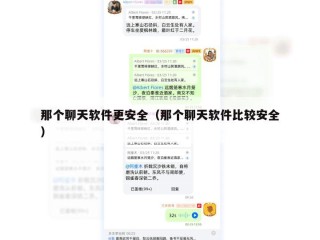 那个聊天软件更安全（那个聊天软件比较安全）