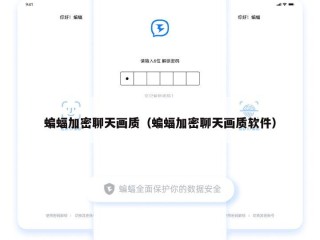 蝙蝠加密聊天画质（蝙蝠加密聊天画质软件）
