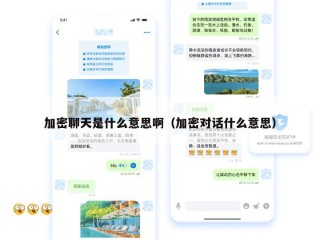 加密聊天是什么意思啊（加密对话什么意思）