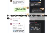 萝卜密聊张家班张家建（张卜张家村的发展规划）