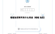 蝙蝠加密聊天有什么用途（蝙蝠 加密）