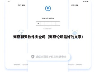 海燕聊天软件安全吗（海燕论坛最好的文章）