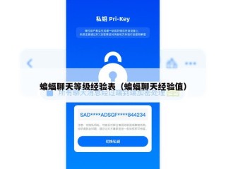 蝙蝠聊天等级经验表（蝙蝠聊天经验值）