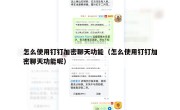 怎么使用钉钉加密聊天功能（怎么使用钉钉加密聊天功能呢）