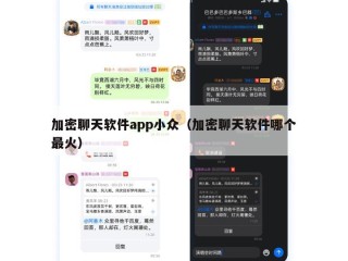 加密聊天软件app小众（加密聊天软件哪个最火）