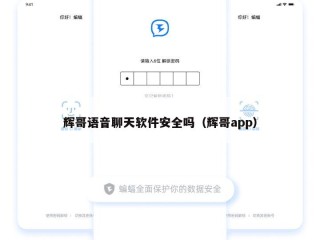 辉哥语音聊天软件安全吗（辉哥app）
