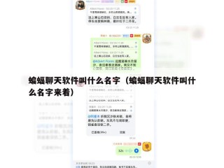 蝙蝠聊天软件叫什么名字（蝙蝠聊天软件叫什么名字来着）