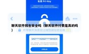 聊天软件钱包安全吗（聊天软件付费是真的吗）