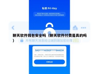 聊天软件钱包安全吗（聊天软件付费是真的吗）