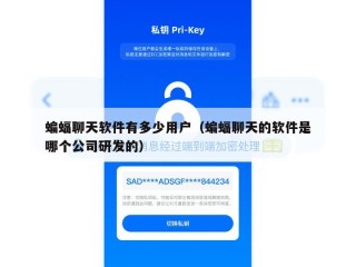 蝙蝠聊天软件有多少用户（蝙蝠聊天的软件是哪个公司研发的）