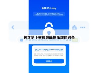 包含萝卜密聊巅峰俱乐部的词条